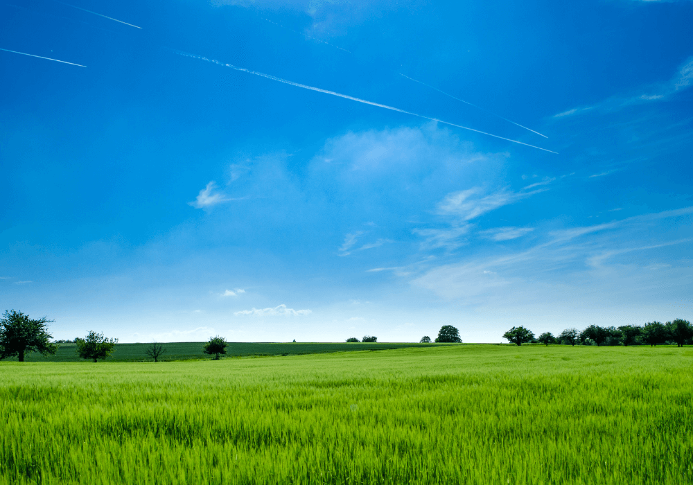 Verdant Vista Land Ownership