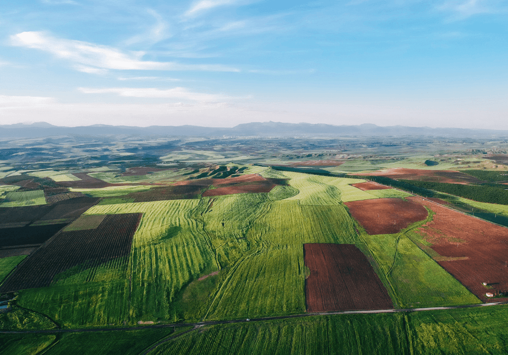 Invest in Land