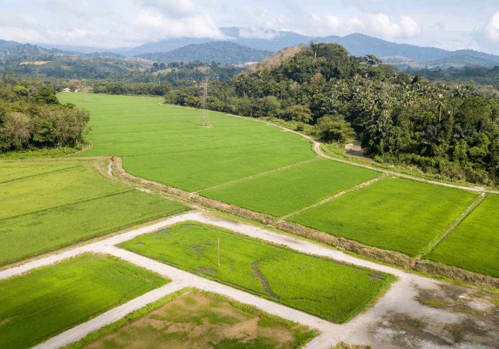 Invest in Land