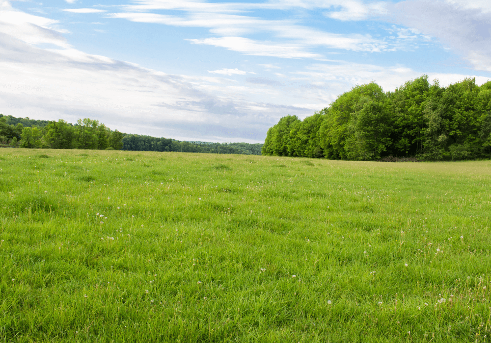 Verdant Vista Sell Land